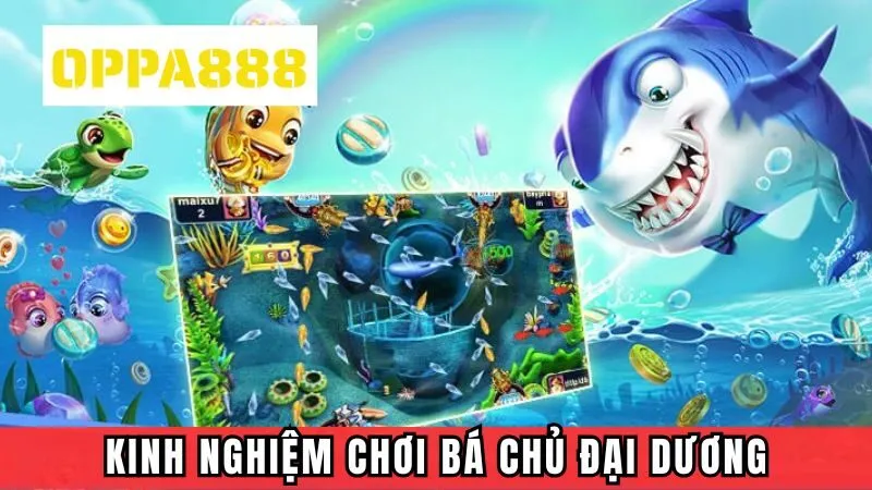 Kinh nghiệm săn cá đổi thưởng