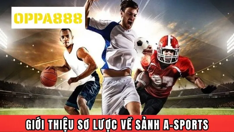 Giới thiệu sơ lược về sảnh A-Sports