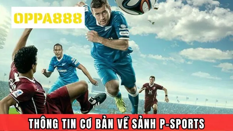 Thông tin cơ bản về P-Sports