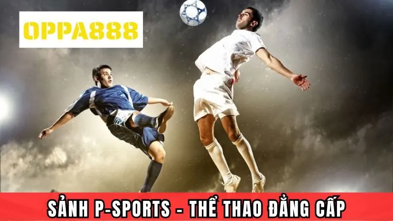 Sảnh P-Sports - Không Gian Thể Thao Đẳng Cấp Cho Mọi Người