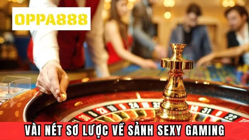 Vài nét sơ lược về Sexy Gaming