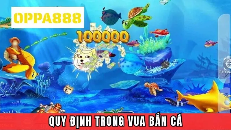 Quy định trong vua săn cá